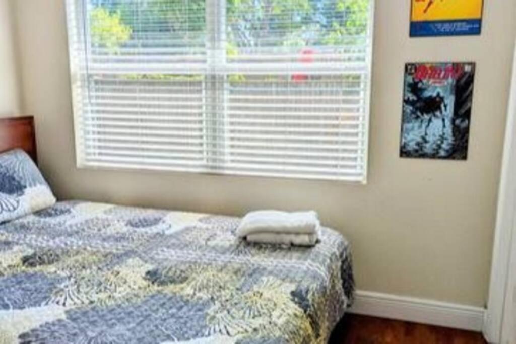 Spacious House With Big Backyard In N. Hyde Park / Close To Downtown Tampa Exterior foto